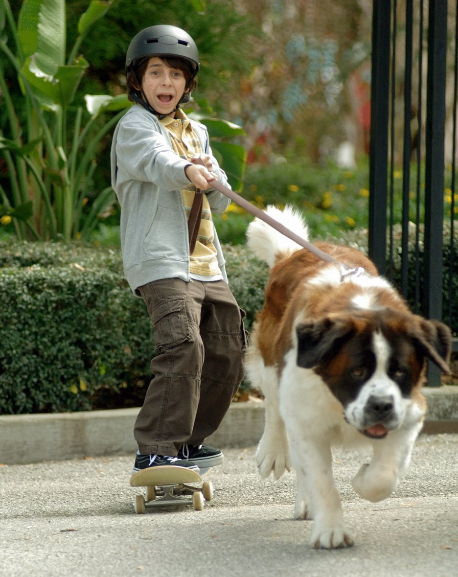 Beethoven: Velký trhák
(2008)