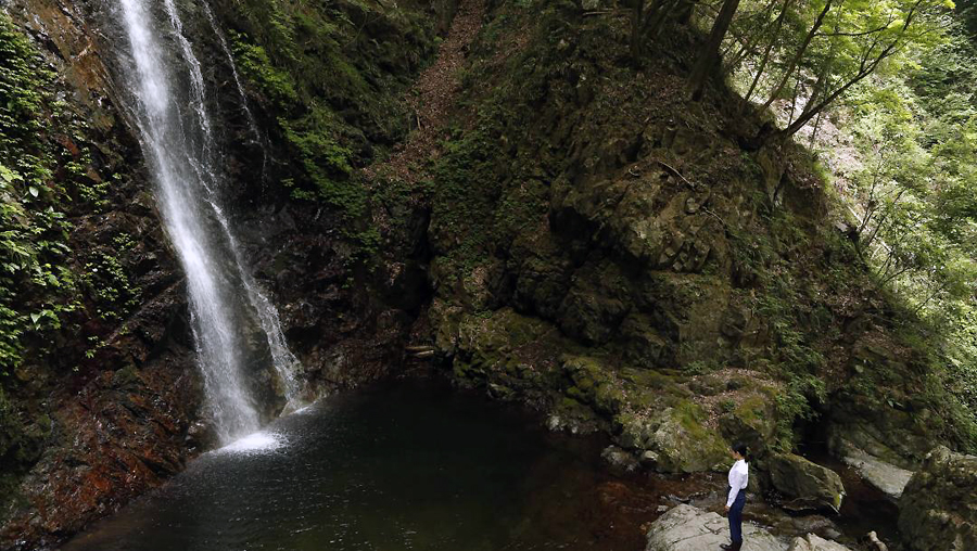 Cesta na pobřeží
(2015)