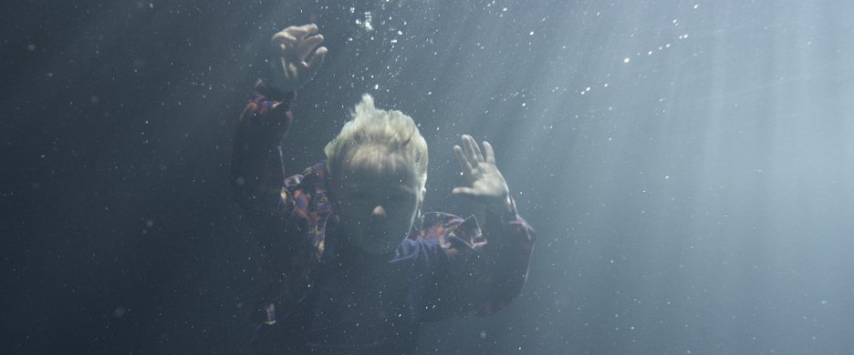 Damašská růže
(2017)