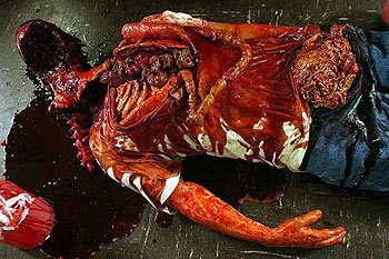 Day of the Dead 2: Contagium
(2005)