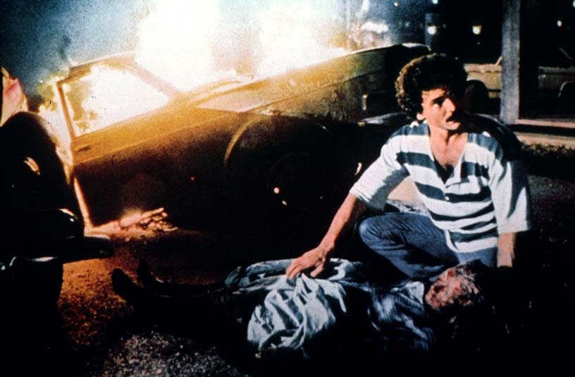 Divoká zvěř
(1984)