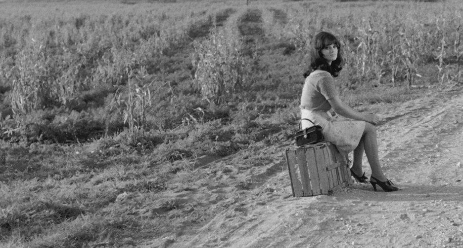 Dravci a vrabci
(1966)