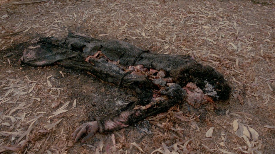 Frightmare: Legenda hororů
(1983)