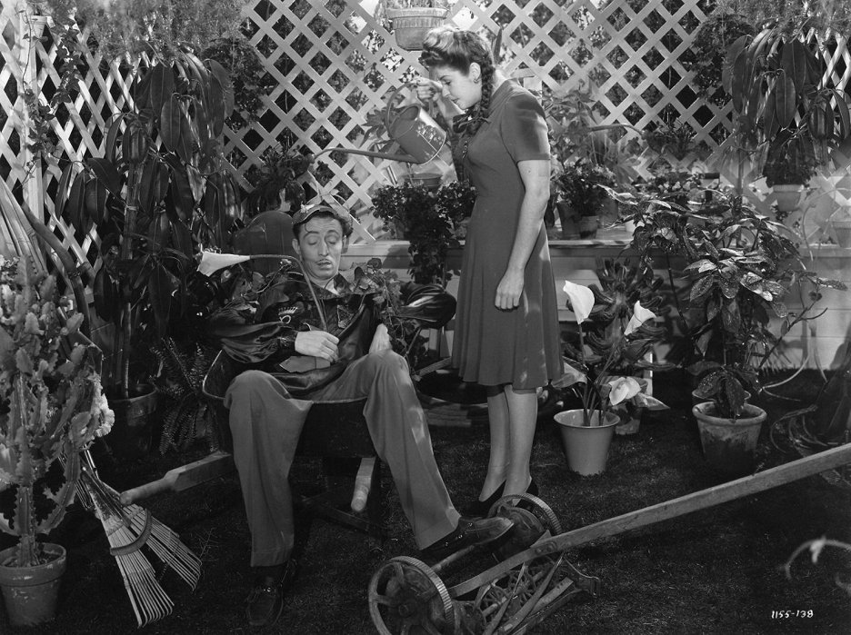 Hellzapoppin‘
(1941)