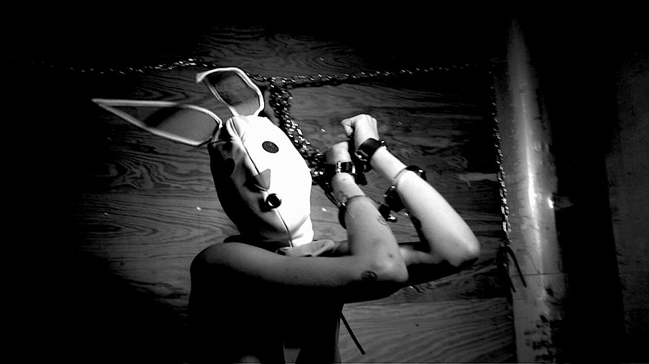 Hra na zajíčka
(2010)