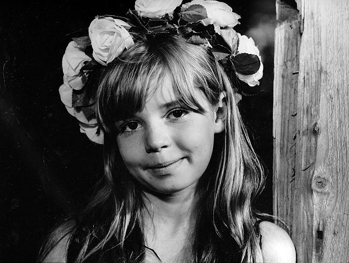 Jak se točí Rozmarýny
(1977)