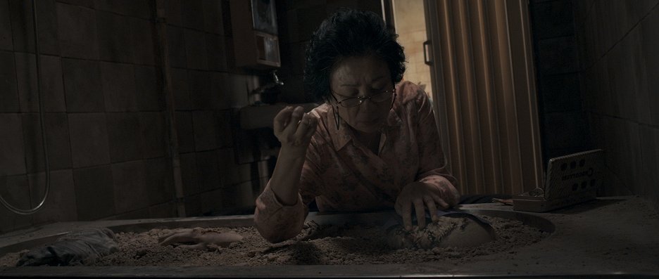 Jiang Shi
(2013)