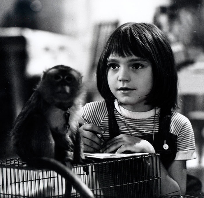 Káťa a krokodýl
(1965)