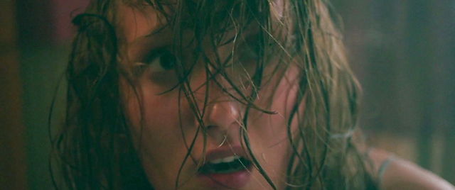 Když zvířata sní
(2014)