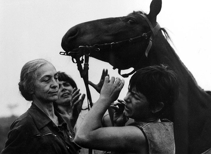 Konec srpna v hotelu Ozon
(1966)