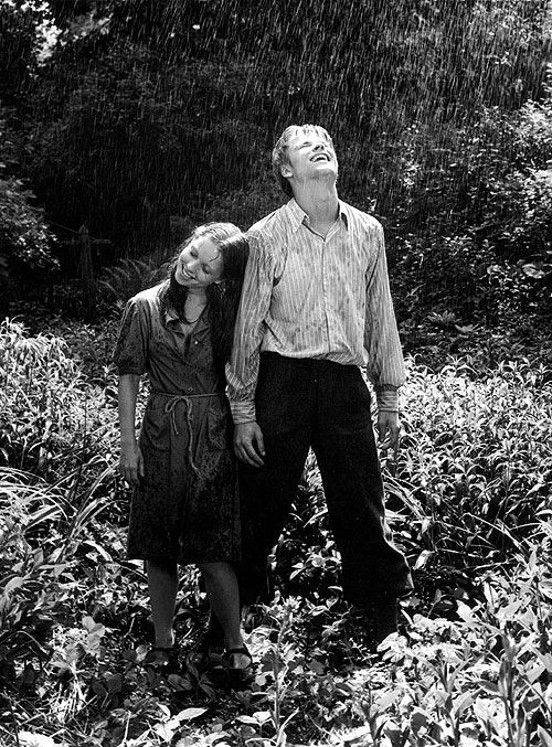 Lásky mezi kapkami deště
(1979)