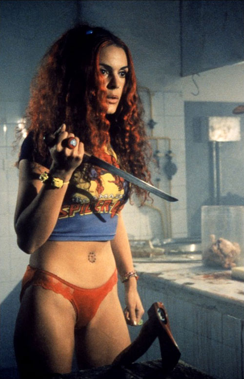 Maso pro zámeckou paní
(1996)