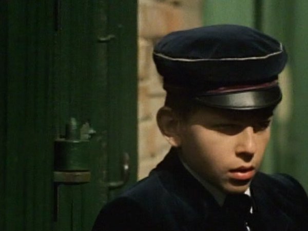 Ostrov stříbrných volavek
(1976)