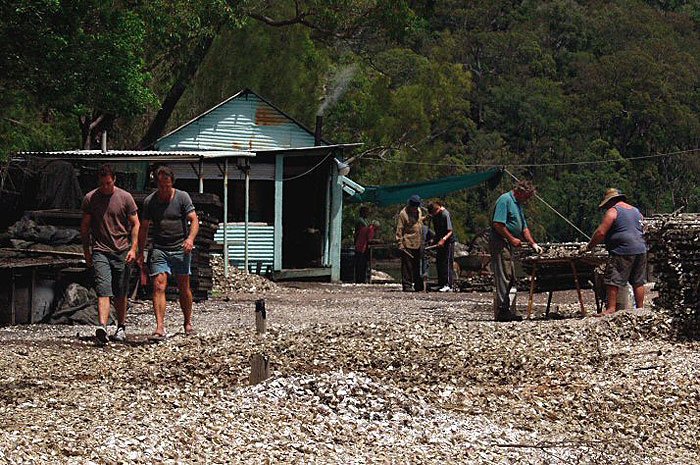 Oyster Farmer
(2004)