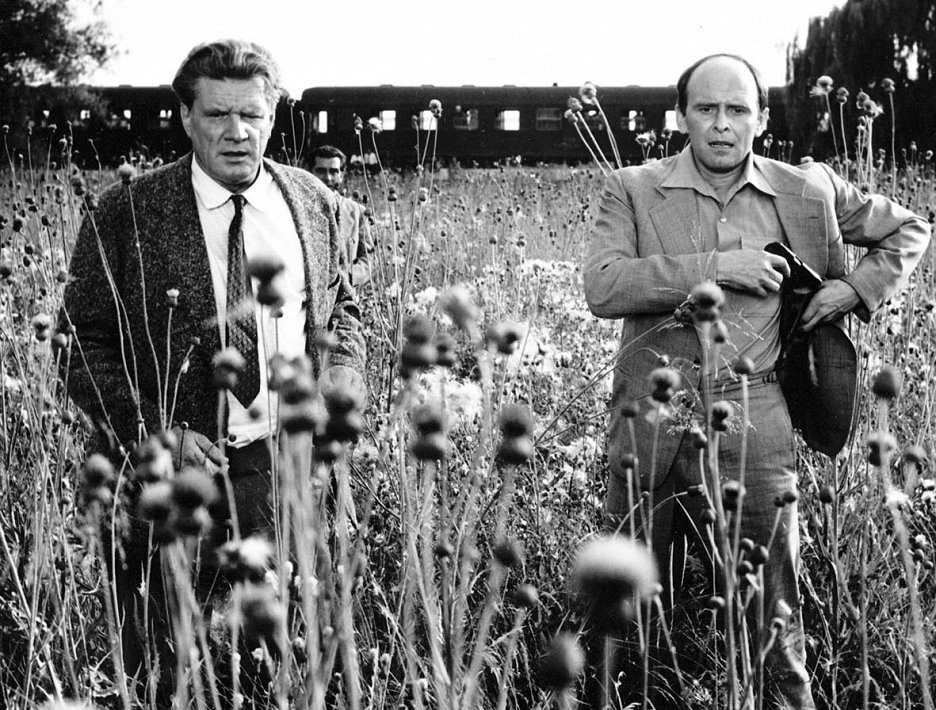 Případ mrtvého muže
(1974)