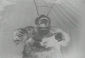 Robot-monstrum
(1953)