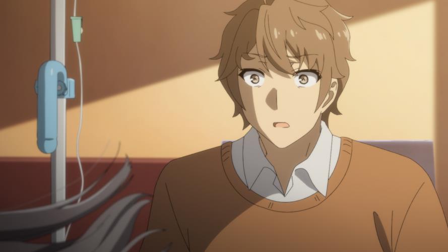 Seišun buta jaró wa jume – Miru šódžo no jume o minai
(2019)