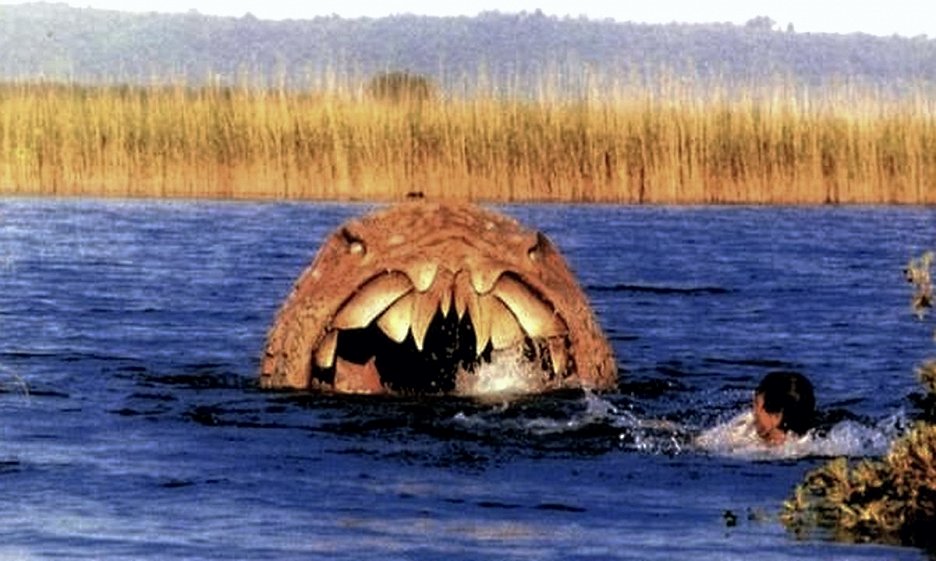 Shark: Rosso nell’oceano
(1984)