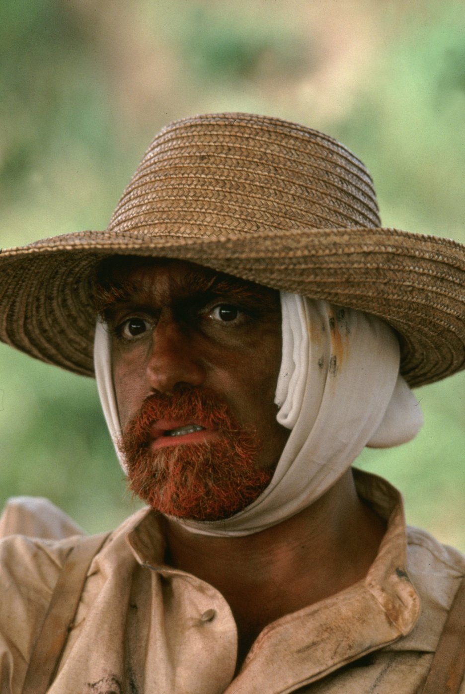 Sny Akiry Kurosawy
(1990)