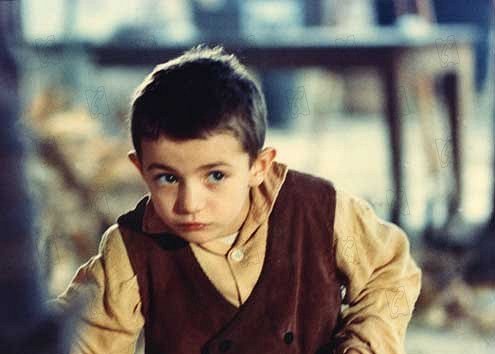 Strom na dřeváky
(1978)