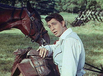 Syn sladké Caroline
(1955)