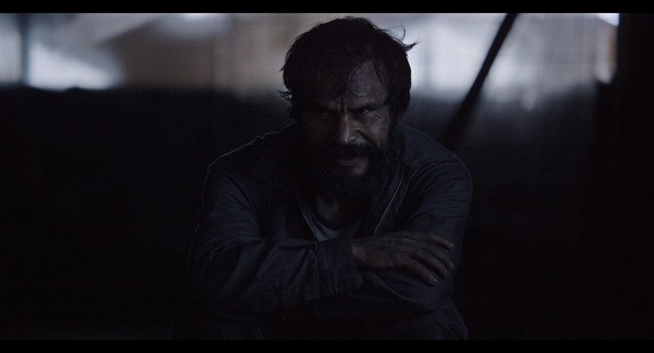 Tenemos la carne
(2016)