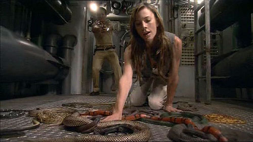 Teror na palubě
(2009)