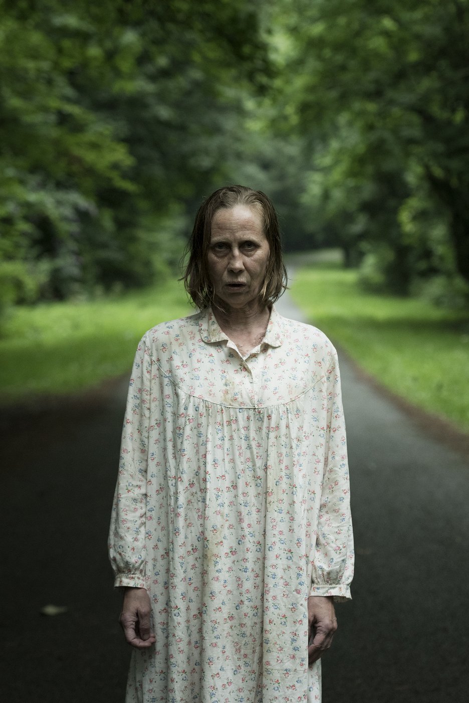 The Hole in the Ground
(2019)