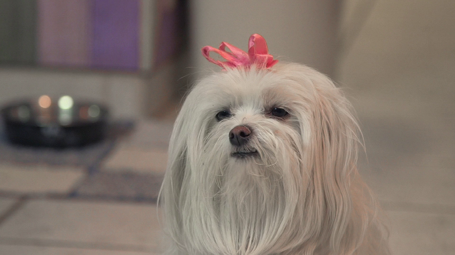 Tři muŠTĚKýři zachraňují Vánoce
(2014)