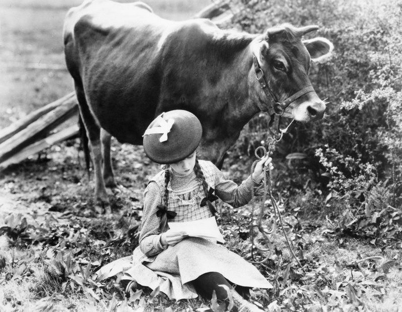 Věrné srdce
(1919)