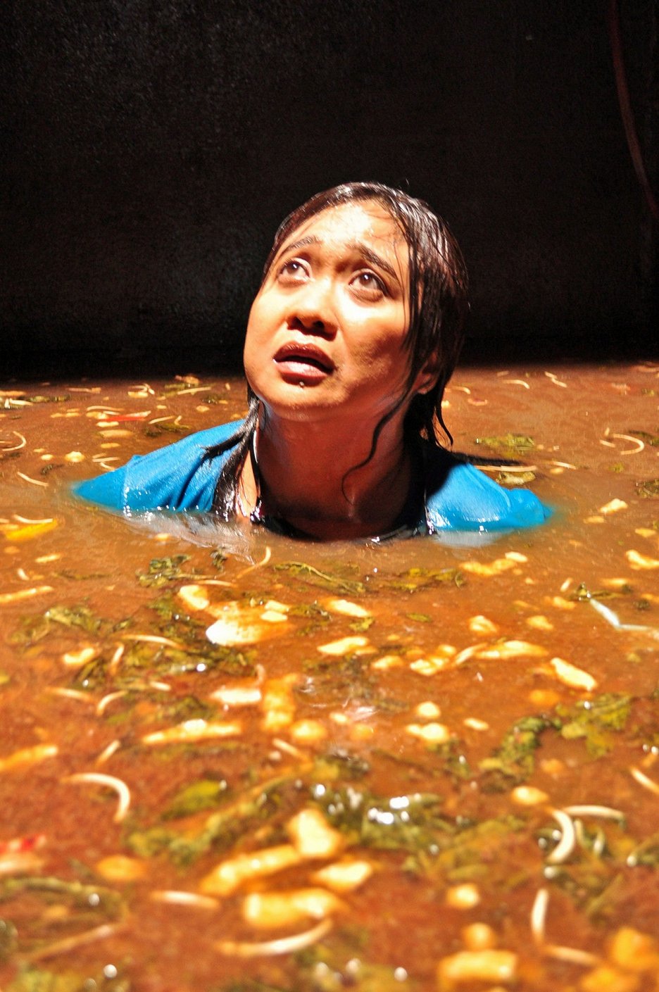 Žena v žumpě
(2011)