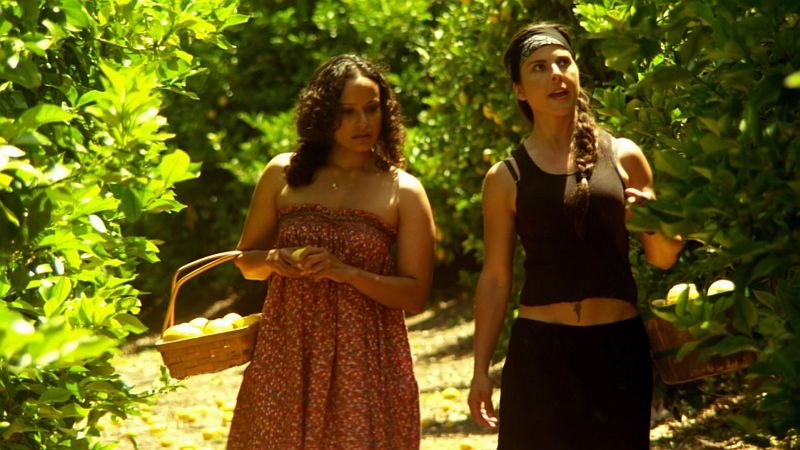 Ženy bez mužů
(2011)