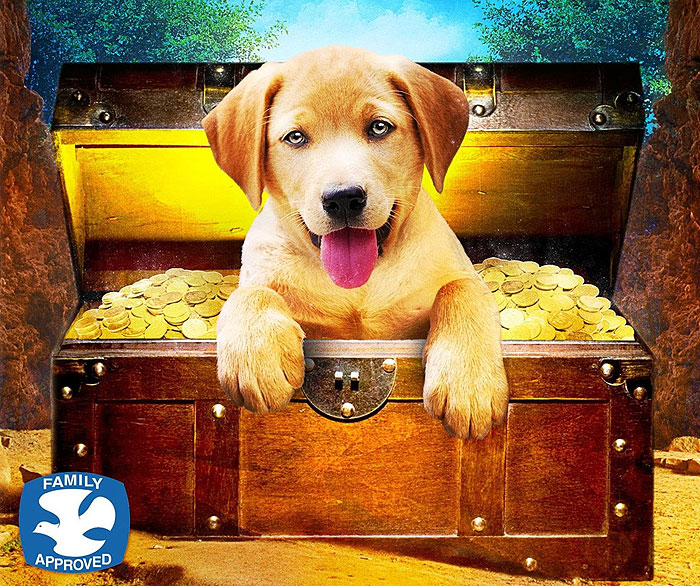 Zlatí retrívři
(2009)