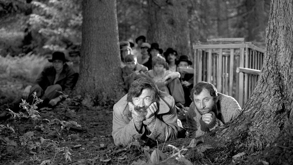 Cesta pustým lesem
(2023)