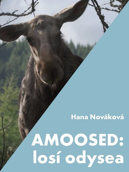 AMOOSED: losí odysea (2026)