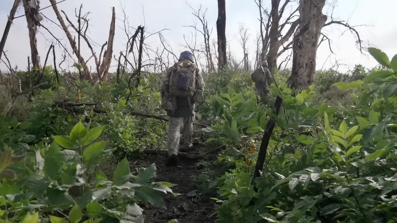 Frontline – Season 44 (2026)